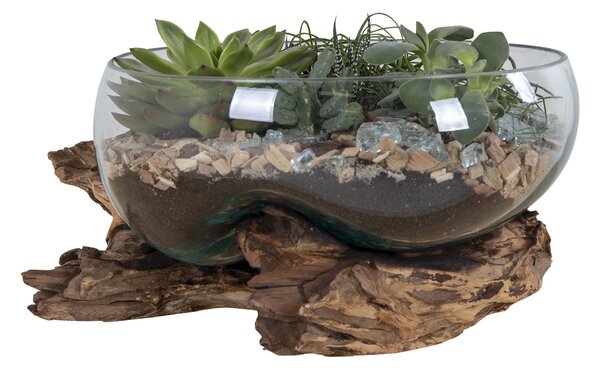 Decorațiuni Sorelia 4 (natural). 1147474