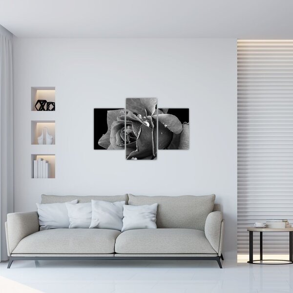Tablou cu trandafir - albneagră (90x60 cm)