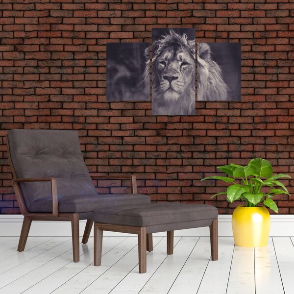 Tablou cu leu (90x60 cm)