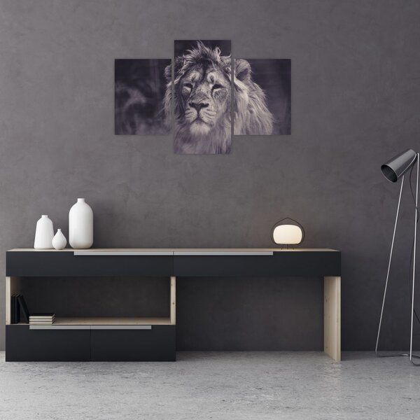 Tablou cu leu (90x60 cm)