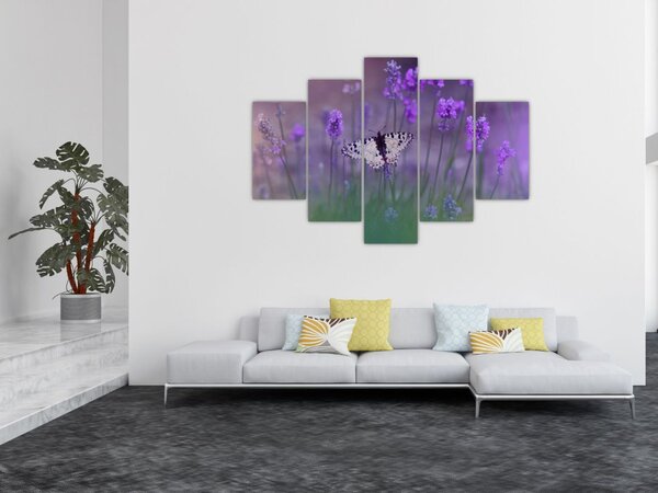 Tablou - fluture în lavandă (150x105 cm)