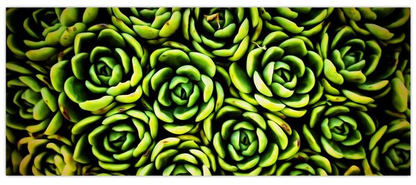 Tablou cu flori de piatră (120x50 cm)