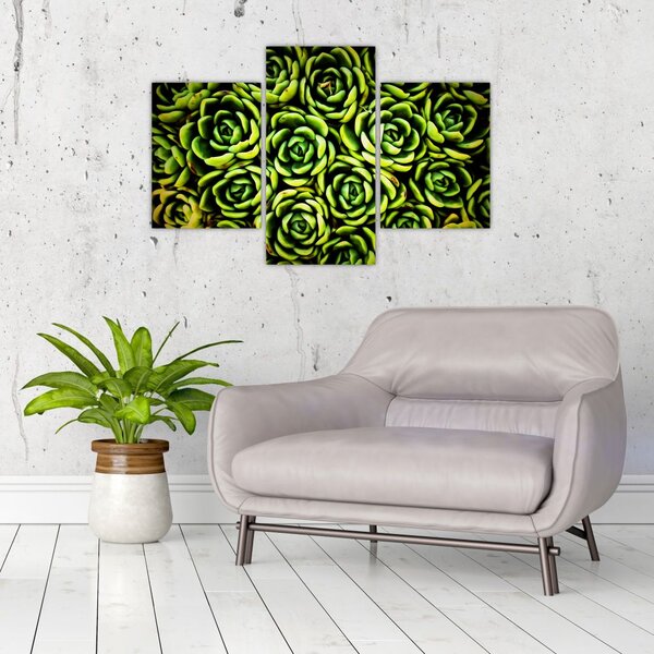 Tablou cu flori de piatră (90x60 cm)