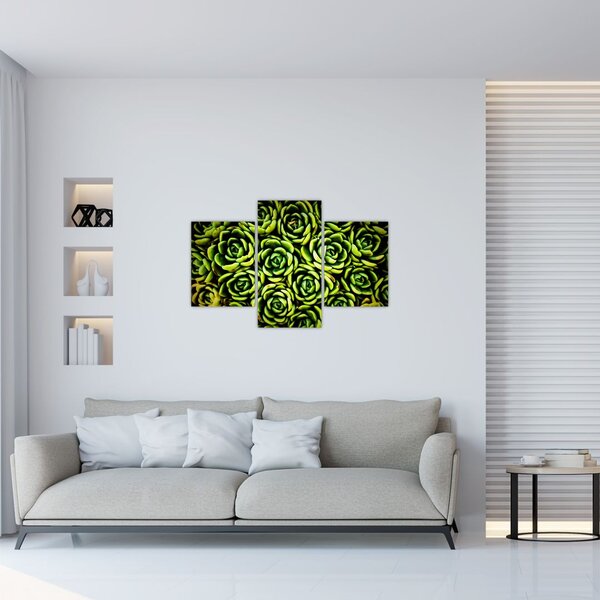 Tablou cu flori de piatră (90x60 cm)