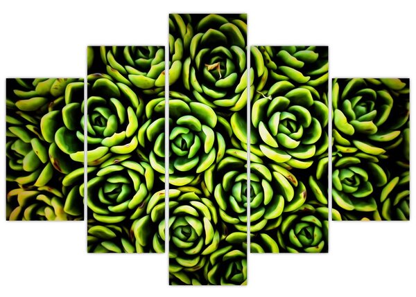 Tablou cu flori de piatră (150x105 cm)