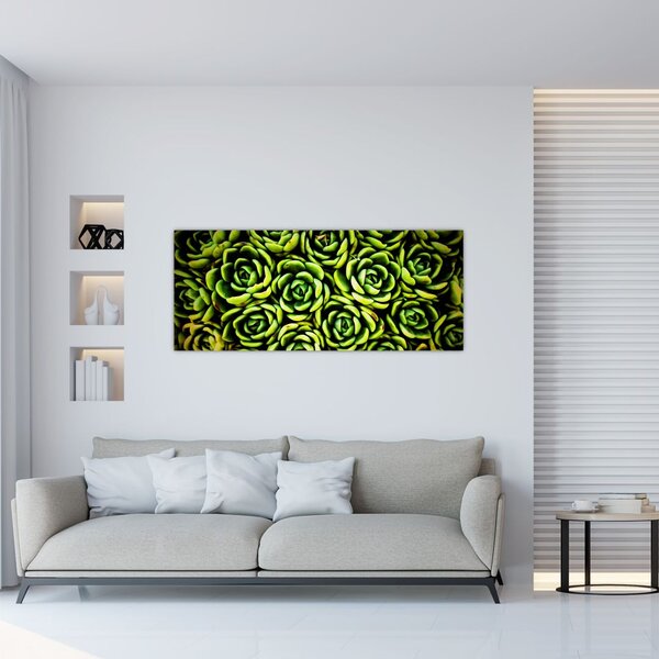 Tablou cu flori de piatră (120x50 cm)