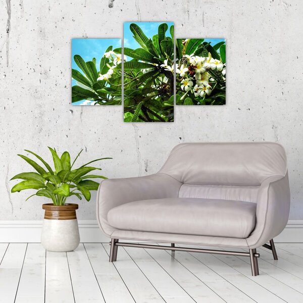 Tablou - Plumeria (90x60 cm)