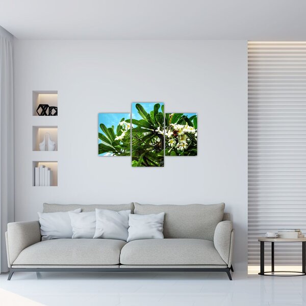 Tablou - Plumeria (90x60 cm)