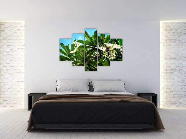 Tablou - Plumeria (150x105 cm)