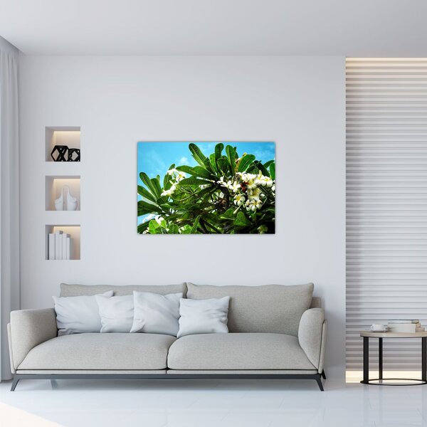 Tablou - Plumeria (90x60 cm)