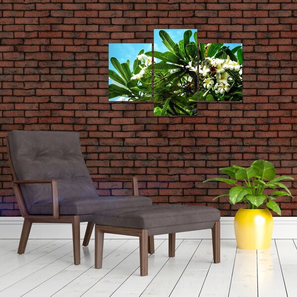 Tablou - Plumeria (90x60 cm)