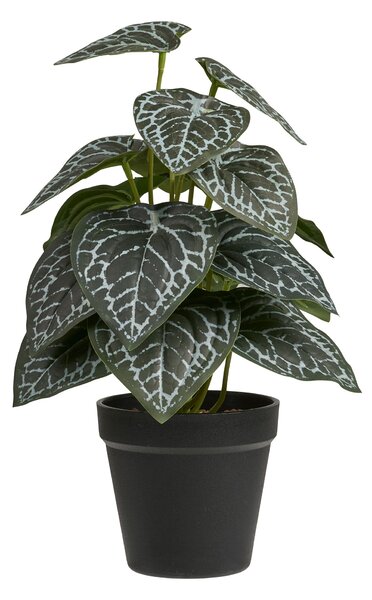 Plantă artificială Anavania 2 (verde). 1147615