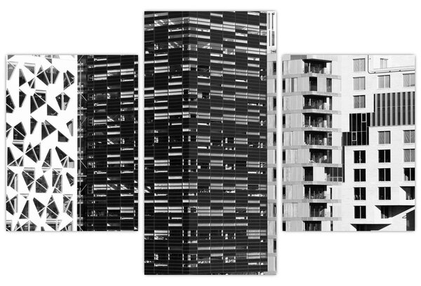 Tablou cu arhitectura alb neagră (90x60 cm)