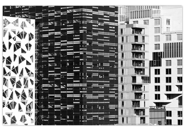 Tablou cu arhitectura alb neagră (90x60 cm)