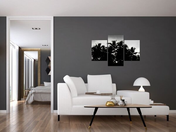 Tablou alb negru - palmieri (90x60 cm)