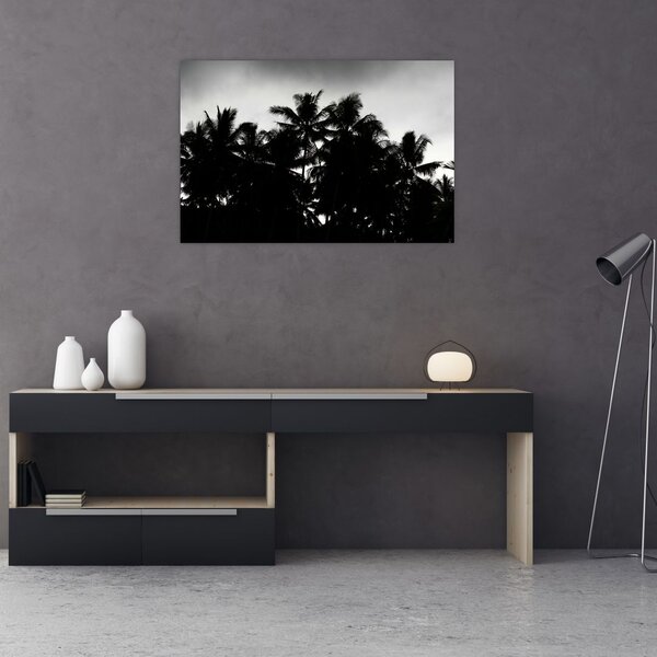 Tablou alb negru - palmieri (90x60 cm)