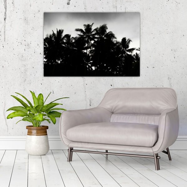 Tablou alb negru - palmieri (90x60 cm)