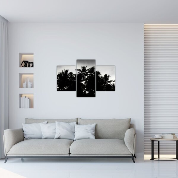 Tablou alb negru - palmieri (90x60 cm)