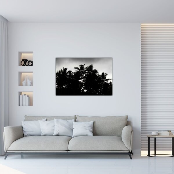 Tablou alb negru - palmieri (90x60 cm)