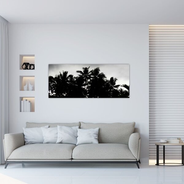 Tablou alb negru - palmieri (120x50 cm)