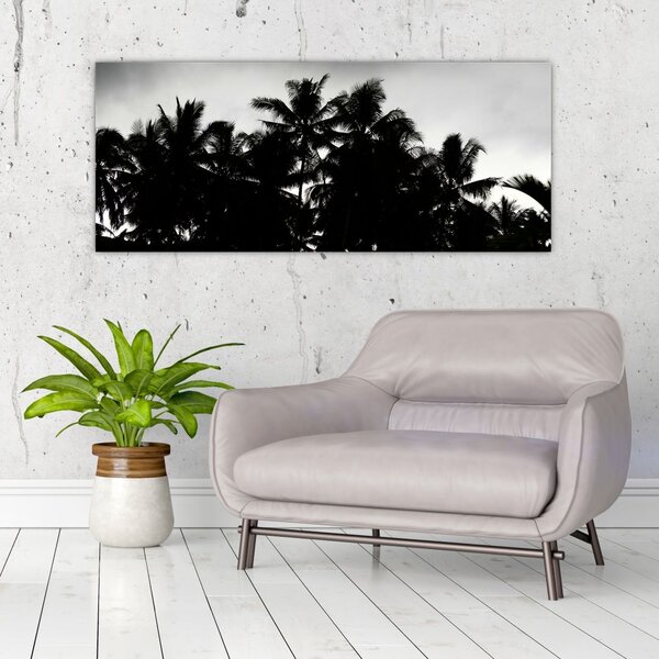 Tablou alb negru - palmieri (120x50 cm)