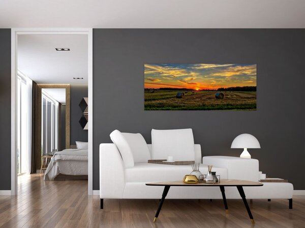 Tablou - Baloți din sat (120x50 cm)
