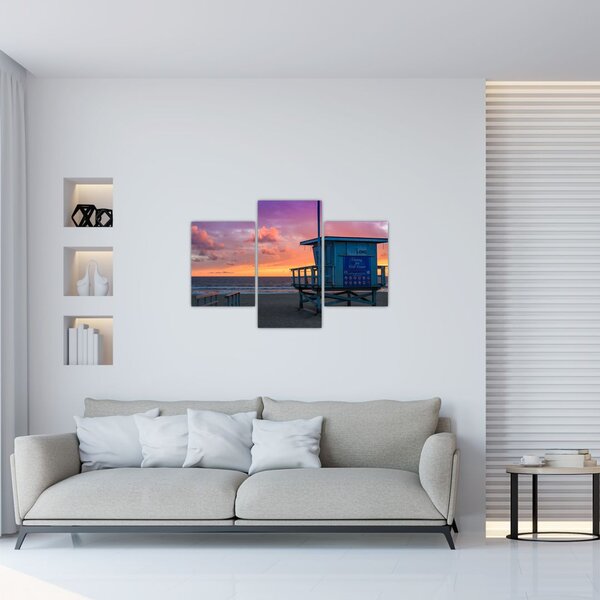 Tablou de pe plaja Santa Monica (90x60 cm)