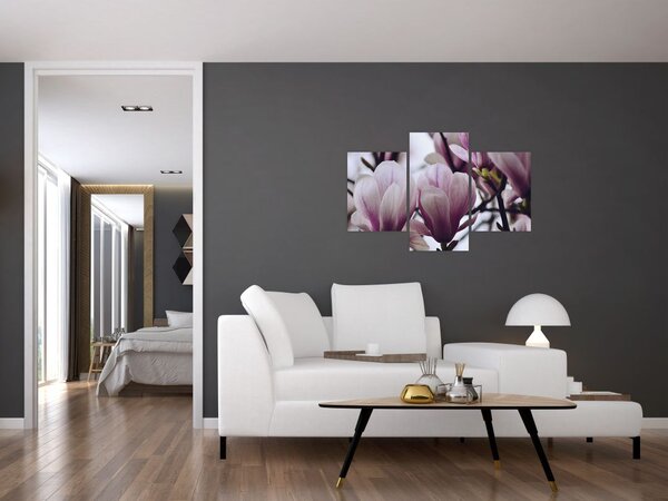 Tablou - Magnolie (90x60 cm)