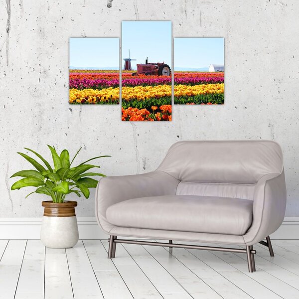 Tablou cu farma de lalele (90x60 cm)