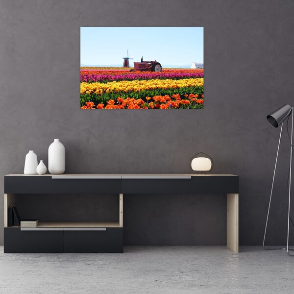 Tablou cu farma de lalele (90x60 cm)