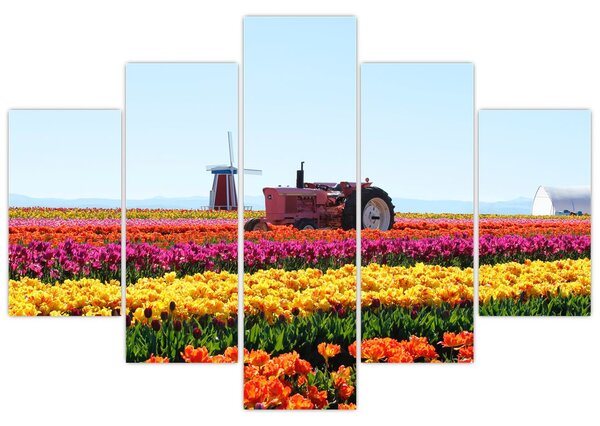 Tablou cu farma de lalele (150x105 cm)