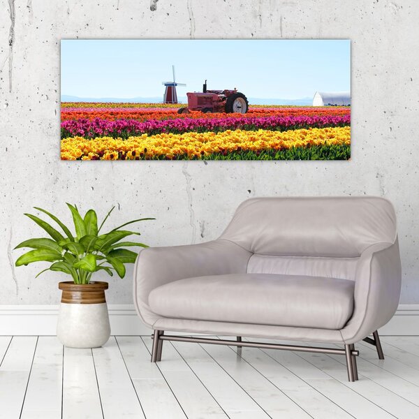 Tablou cu farma de lalele (120x50 cm)