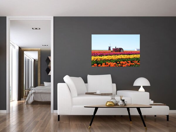 Tablou cu farma de lalele (90x60 cm)