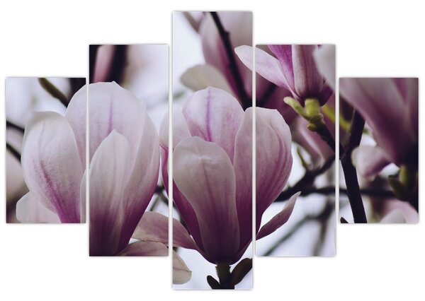 Tablou - Magnolie (150x105 cm)