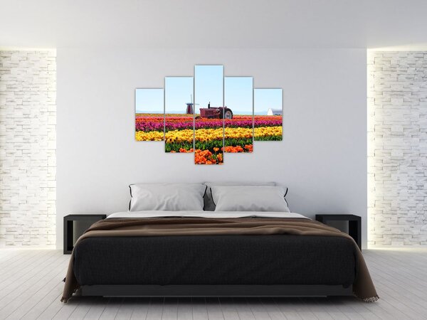Tablou cu farma de lalele (150x105 cm)
