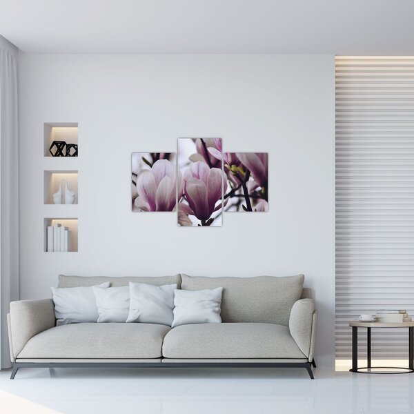 Tablou - Magnolie (90x60 cm)