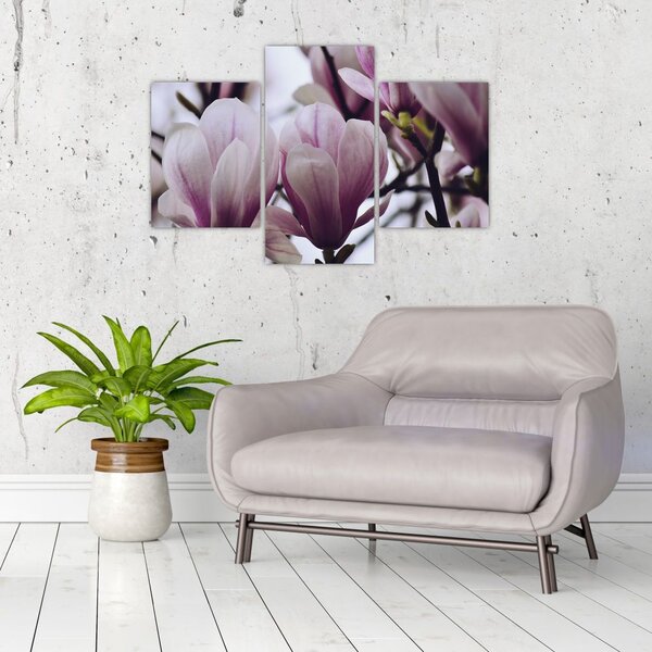 Tablou - Magnolie (90x60 cm)