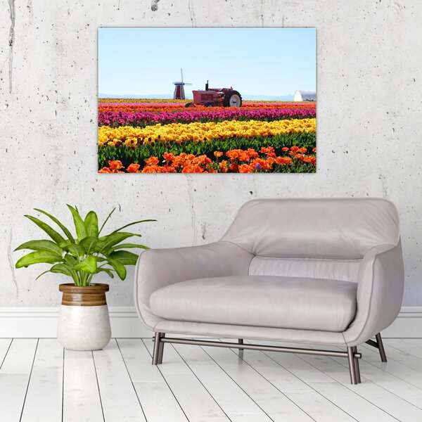 Tablou cu farma de lalele (90x60 cm)
