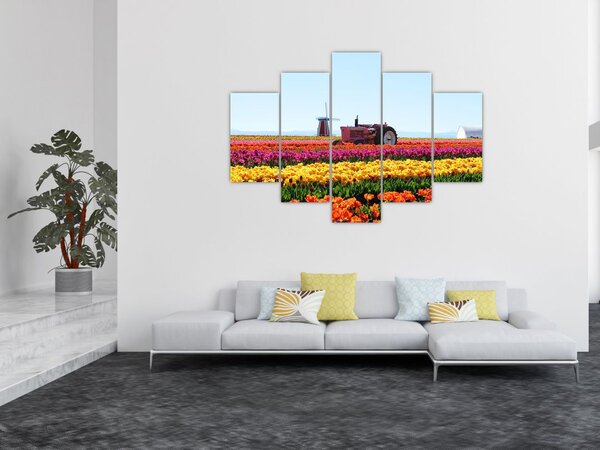 Tablou cu farma de lalele (150x105 cm)