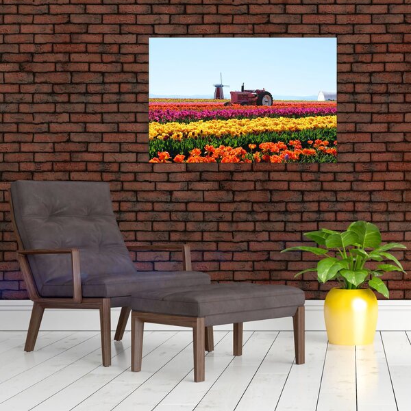 Tablou cu farma de lalele (90x60 cm)