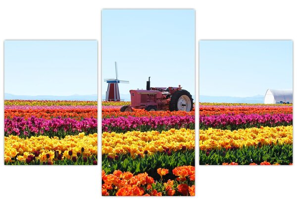 Tablou cu farma de lalele (90x60 cm)
