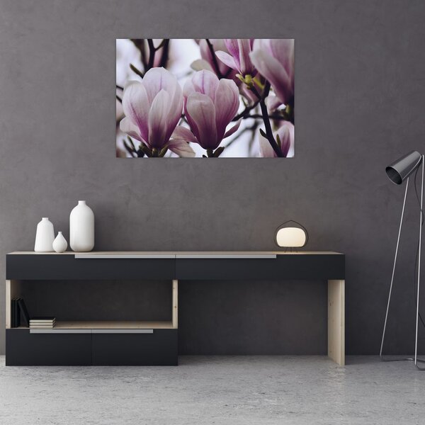 Tablou - Magnolie (90x60 cm)