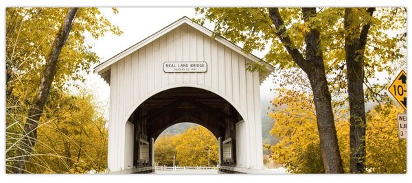 Tablou cu podul în Oregon (120x50 cm)