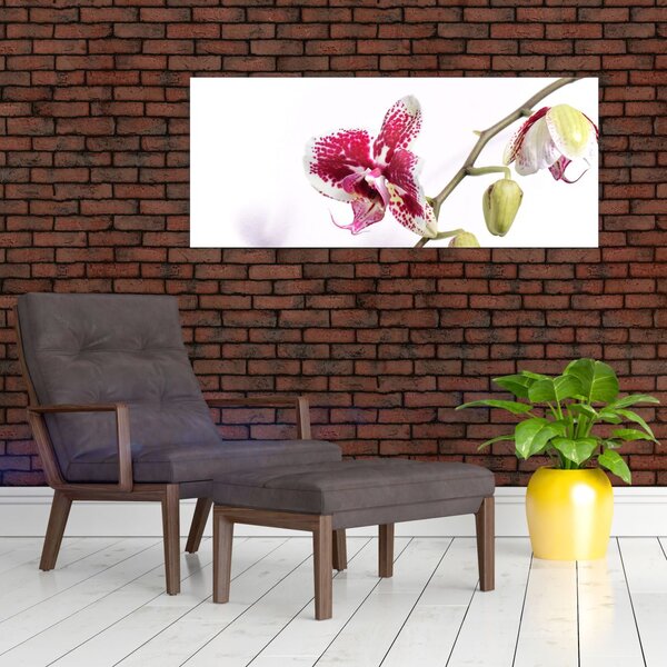 Tablou cu floarea de orhidee (120x50 cm)