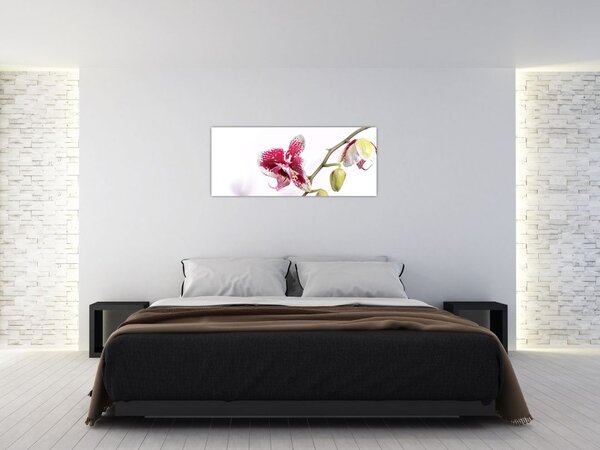 Tablou cu floarea de orhidee (120x50 cm)