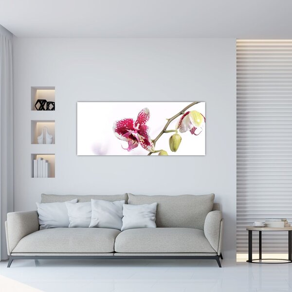 Tablou cu floarea de orhidee (120x50 cm)