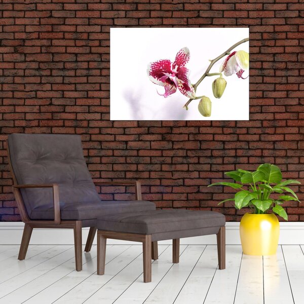 Tablou cu floarea de orhidee (90x60 cm)