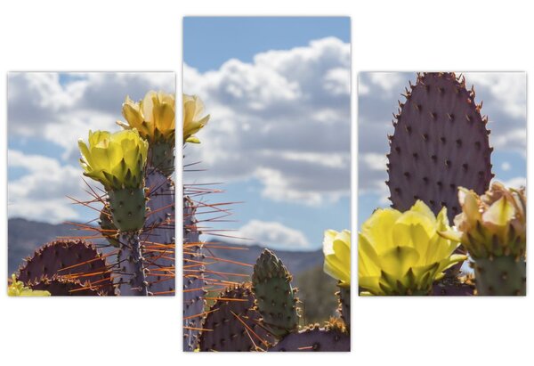 Tablou cu floarea de cactus Opunție (90x60 cm)