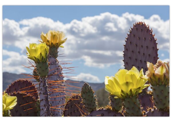 Tablou cu floarea de cactus Opunție (90x60 cm)