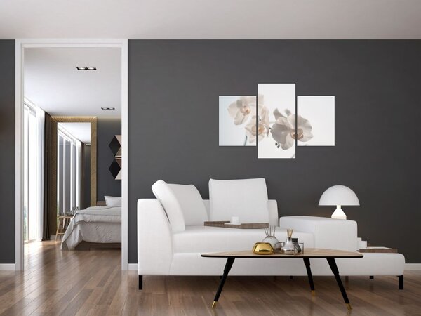 Tablou cu orhidee albă (90x60 cm)